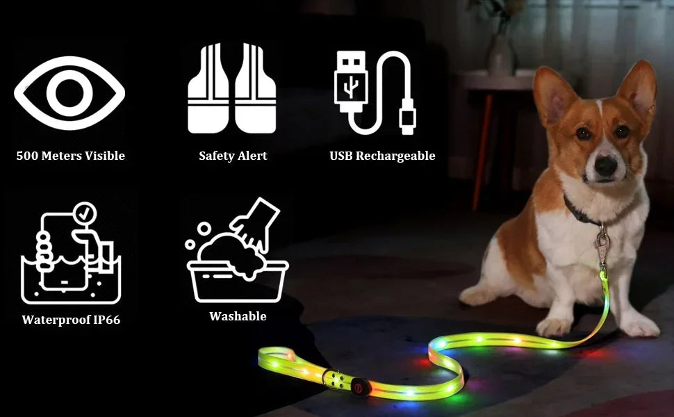 Rechargeable LED Dog Collar Leash Waterproof Glow-in-the-Dark Nylon Reflective Lights Light up Luminous Dog Walking Gear