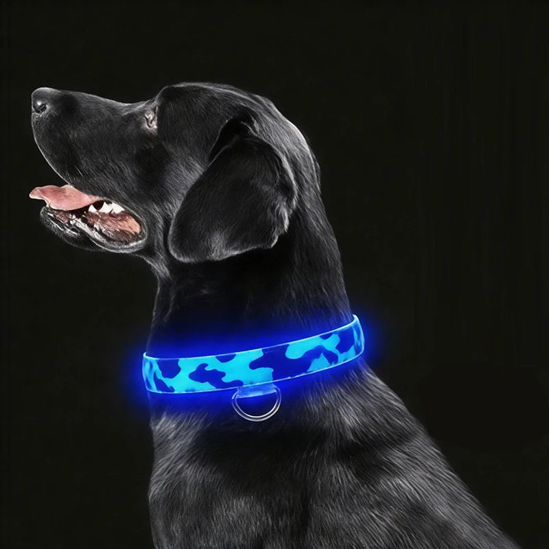 USB Rechargeable Dog Collar Light Luminous Flashing Glowing Bright Nylon Electronic Pet Reflective LED Dog Collar Night Safety