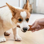 Pet Treats Chik Skewers Chicken Wrapped Rawhide Chew Natural Jerky Dog Treats for All Dog Sizes