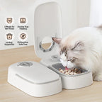 2 Meals Timed Automatic Dog Feeder Dual Bowls Smart Cat Food Dispenser Wet Dry Pet Food Dispenser Pet Feeder Cat Accessories