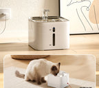 4.2L Stainless Steel Smart Pet Water Dispenser Charge Cat Dog Feeder Double Bowl Durable Automatic Quadrate Indoor Use Fountain