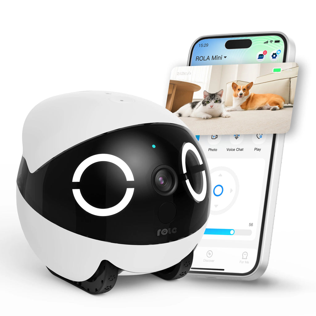 Indoor Cat Toy with Pulley and HD Camera Two-way Voice Call & Privacy Management Smart Robot Interactive Cat Toys