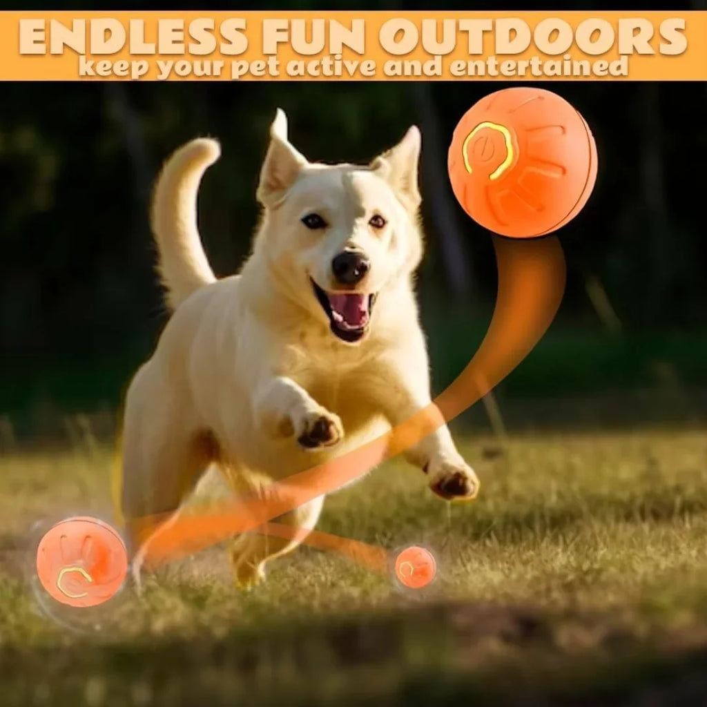 Pet Toys Gravity Electric Pet Ball Smart Bouncing Dog Ball Automatic Rolling Ball for Dogs and Cats