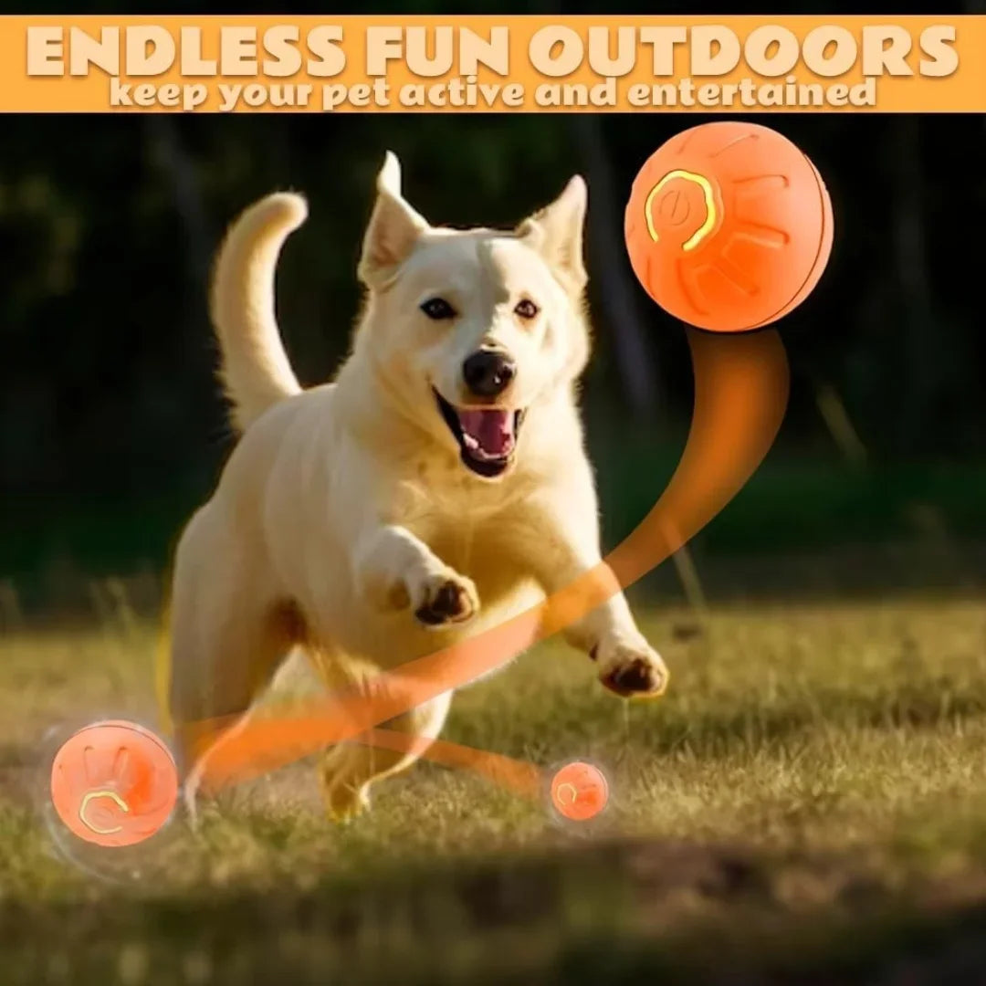 Pet Toys Gravity Electric Pet Ball Smart Bouncing Dog Ball Automatic Rolling Ball for Dogs and Cats