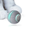Smart Interactive Cat Toys Automatic Moving Bouncing Rolling Ball for Indoor Kitten Cat Pet Ball with Lights and Bell Pet Toys