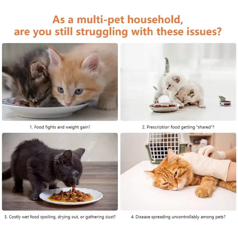 Smart Pet Feeder Automatic Cat Feeder With WIFI App Control Sensor Recognition Accurate Pet Food Dispenser Anti-snatch Feeder