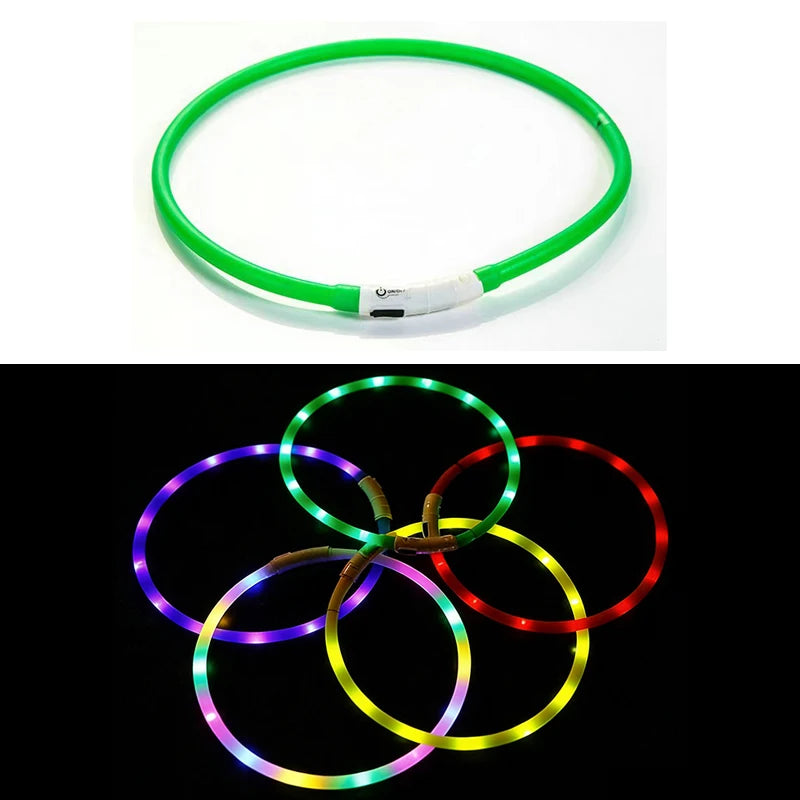 Adjustable LED Glowing Dog Collar Rechargeable Anti-Lost Night Light Harness Luminous Nylon Dog Supplies with Flashing Feature