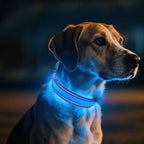 Waterproof LED Dog Collar Rechargeable Dog Light up Collar Keep Pet Safe at Night Walks Adjustable for Small Medium Large Dogs