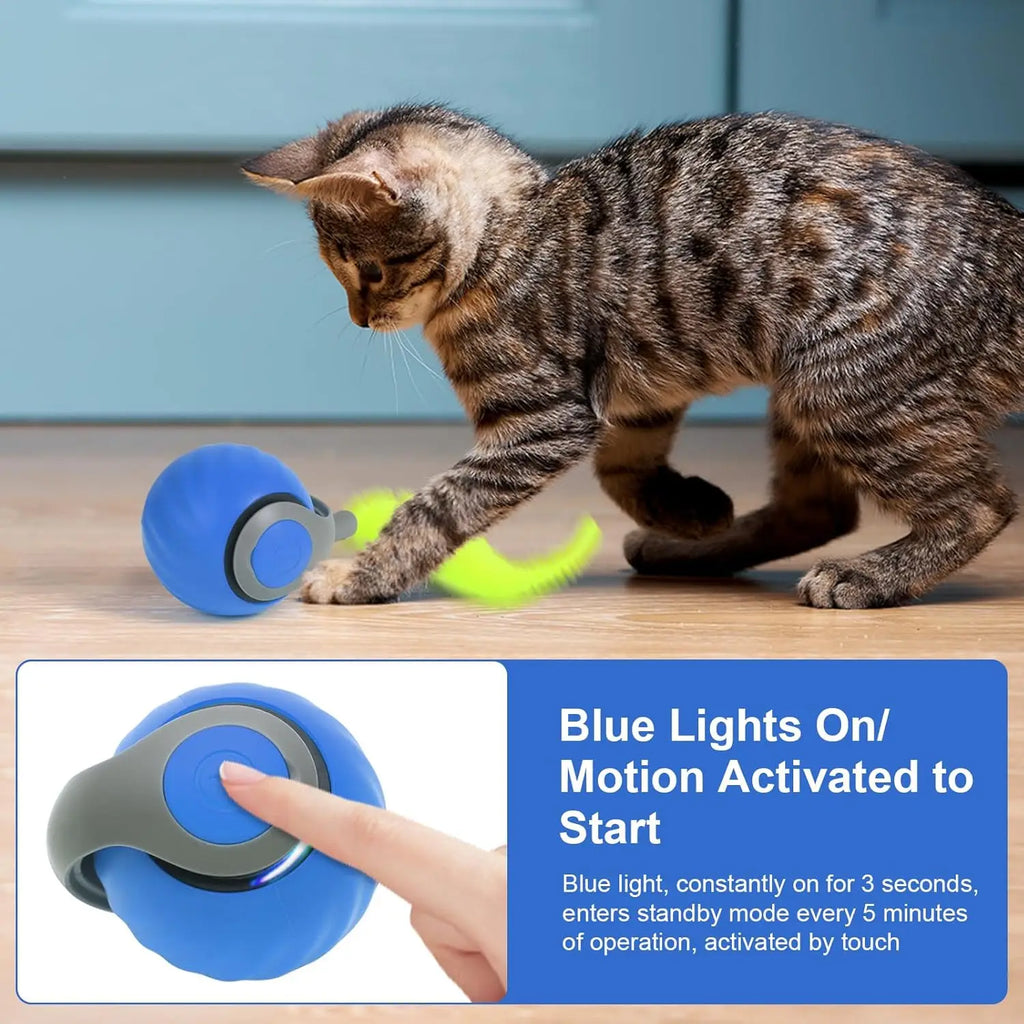 Interactive Cat Toy for Home Electric Automatic Cat Toy Ball Rechargeable Pet Toy with Irregular Movement Cat Hunting