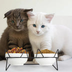 Auto-Elevated 15 Degree Tilted Double Cat Bowls Indoor Raised Ceramic Pet Feeding Bowls for Water & Food