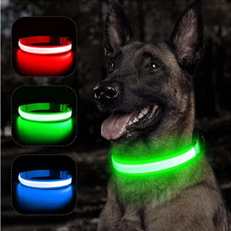LED Glowing Dog Collar Adjustable Flash Recharge Luminous Collar Night Anti-Lost Dog Light for Small Dog Electronic Pet Products