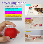 Interactive Cat Toys Ball for Indoor Cats Fast Rolling with Bird Carpet Chirping & Exercise Rechargeable Smart Cat Ball Toys