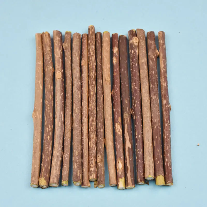 Fashionable Wood Molar Toothpaste Stick Natural Catnip Fruit Silvervine Cat Snacks for Pet Cat Teeth Cleaning Products