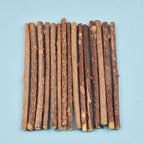 Fashionable Wood Molar Toothpaste Stick Natural Catnip Fruit Silvervine Cat Snacks for Pet Cat Teeth Cleaning Products
