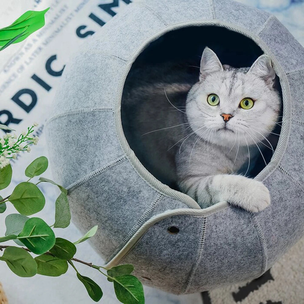 Cat Bed House Indoor Cat Toys Ball Interactive Soft Cute Shell Foldable Pet Toy Cat Tunnel Cave Tube Condo Fun Toy Bed for Kitty