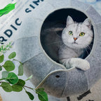 Cat Bed House Indoor Cat Toys Ball Interactive Soft Cute Shell Foldable Pet Toy Cat Tunnel Cave Tube Condo Fun Toy Bed for Kitty