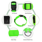LED Glowing Dog Collar Adjustable Flash Recharge Luminous Collar Night Anti-Lost Dog Light for Small Dog Electronic Pet Products