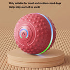 Self-Bouncing Interactive Dog Toy Ball Smart USB Rechargeable Indoor and Outdoor Playing Ball for Medium Large Dogs