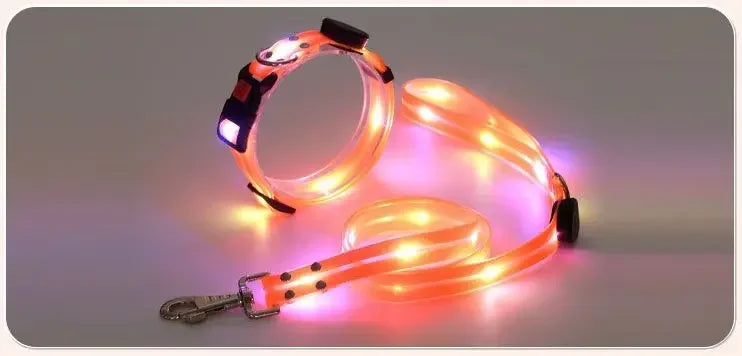 Rechargeable LED Dog Collar Leash Waterproof Glow-in-the-Dark Nylon Reflective Lights Light up Luminous Dog Walking Gear