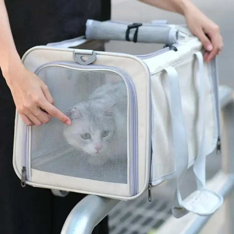 Pet Carrying Backpack Transport Kennel Portable Shoulder Strap Tote Breathable Mesh Large Capacity Zipper Fashion Cat Dog Puppy