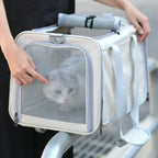 Pet Carrying Backpack Transport Kennel Portable Shoulder Strap Tote Breathable Mesh Large Capacity Zipper Fashion Cat Dog Puppy