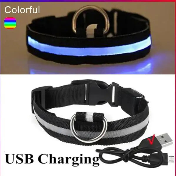 LED Glowing Dog Collar Adjustable Flash Recharge Luminous Collar Night Anti-Lost Dog Light for Small Dog Electronic Pet Products
