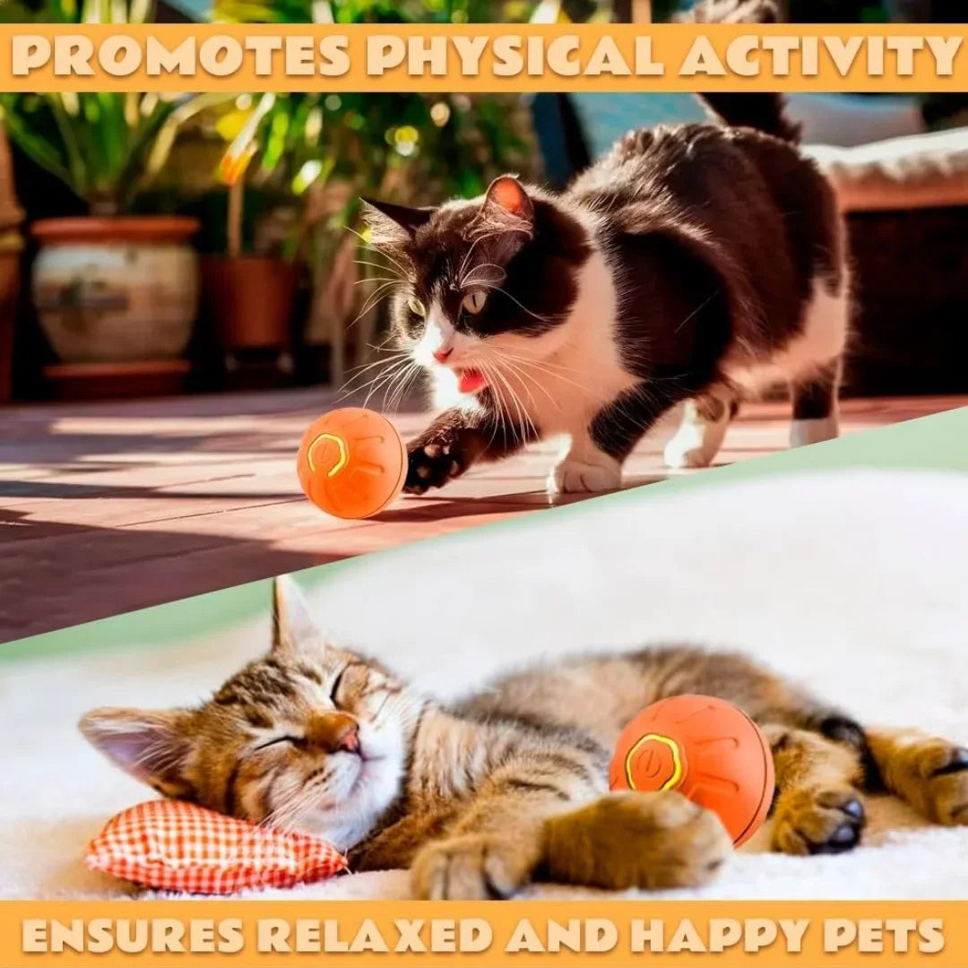 Pet Toys Gravity Electric Pet Ball Smart Bouncing Dog Ball Automatic Rolling Ball for Dogs and Cats
