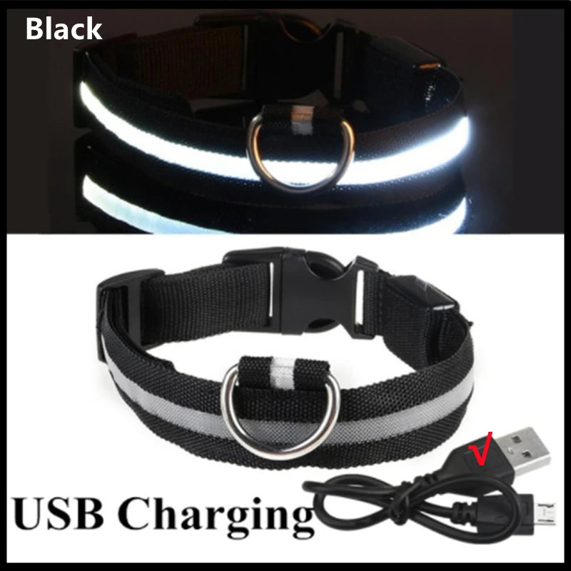 Nylon LED Pet Dog Collar Night Safety Flashing Glow in the Dark Dog Leash Dogs Luminous Collars Pet Supplies OEM Custom LOGO