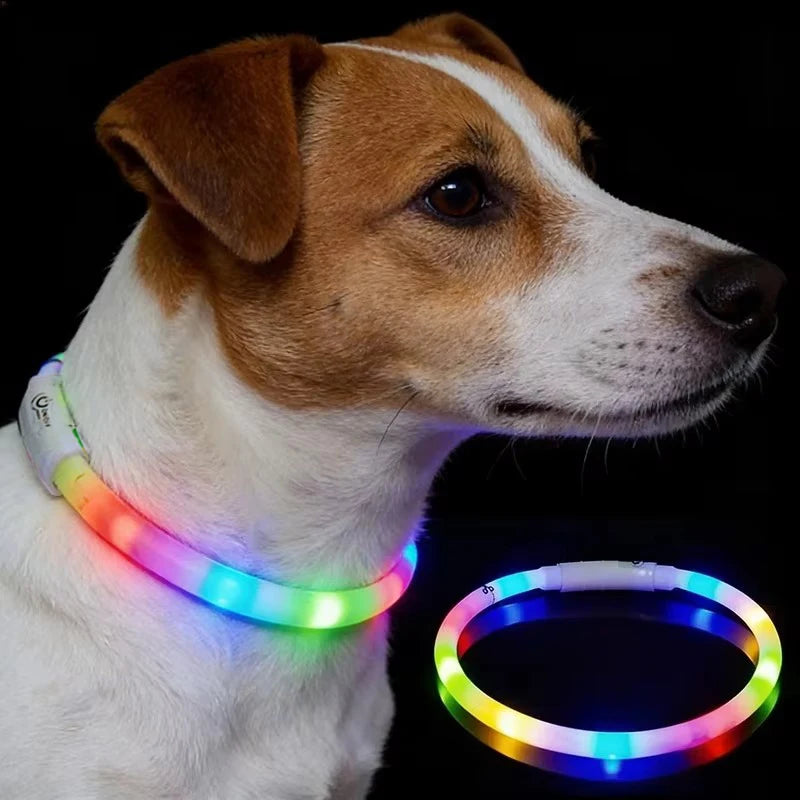 Adjustable LED Glowing Dog Collar Rechargeable Anti-Lost Night Light Harness Luminous Nylon Dog Supplies with Flashing Feature