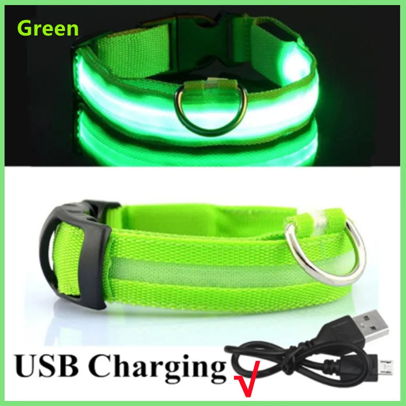 LED Glowing Dog Collar Adjustable Flash Recharge Luminous Collar Night Anti-Lost Dog Light for Small Dog Electronic Pet Products