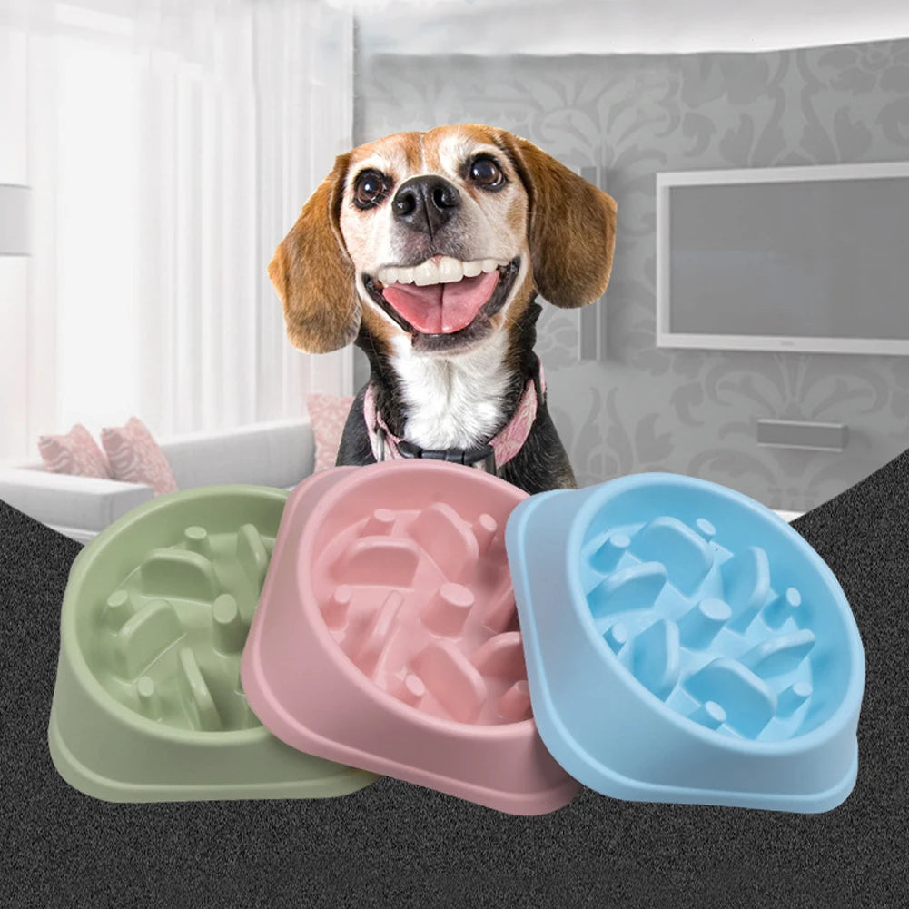 Pet Slow Feeder Dog Bowl Pet Feeding Bowls Cat Dog Slow Down Feeders Bowls for Pets Cats Food Dish Dog Supplies