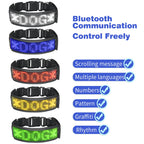 Customizable LED Display Dog Collar Designer Striped Rechargeable Night Luminous Adjustable Anti-Lost Safety Collar Made Nylon