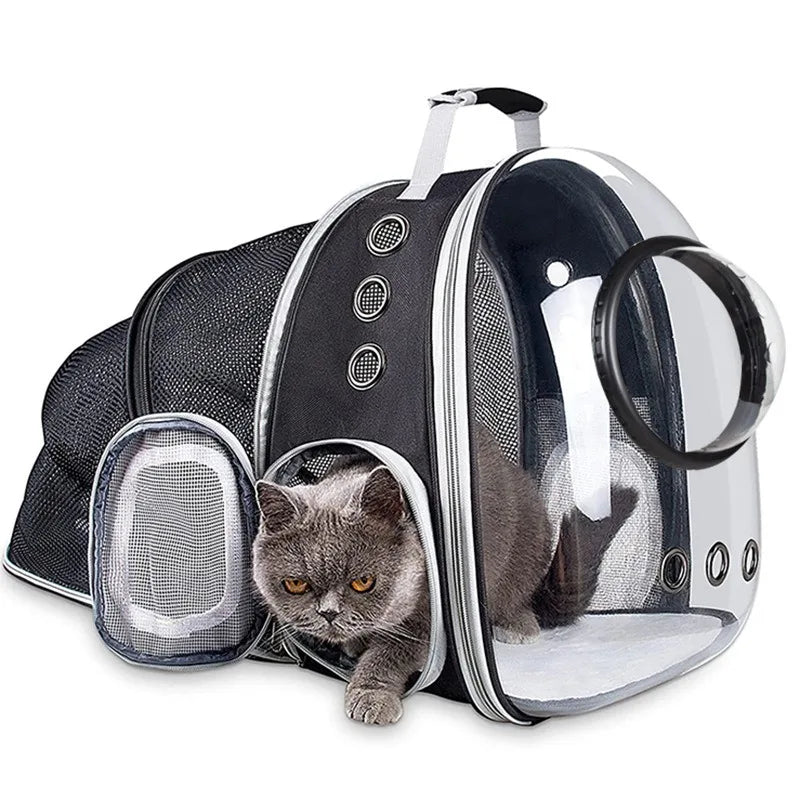 Wholesale Cat Backpack Pet Carriers Collapsible Cats Shoulder Bag Ventilate Transparent Foldable Carries Travel Cat Bed