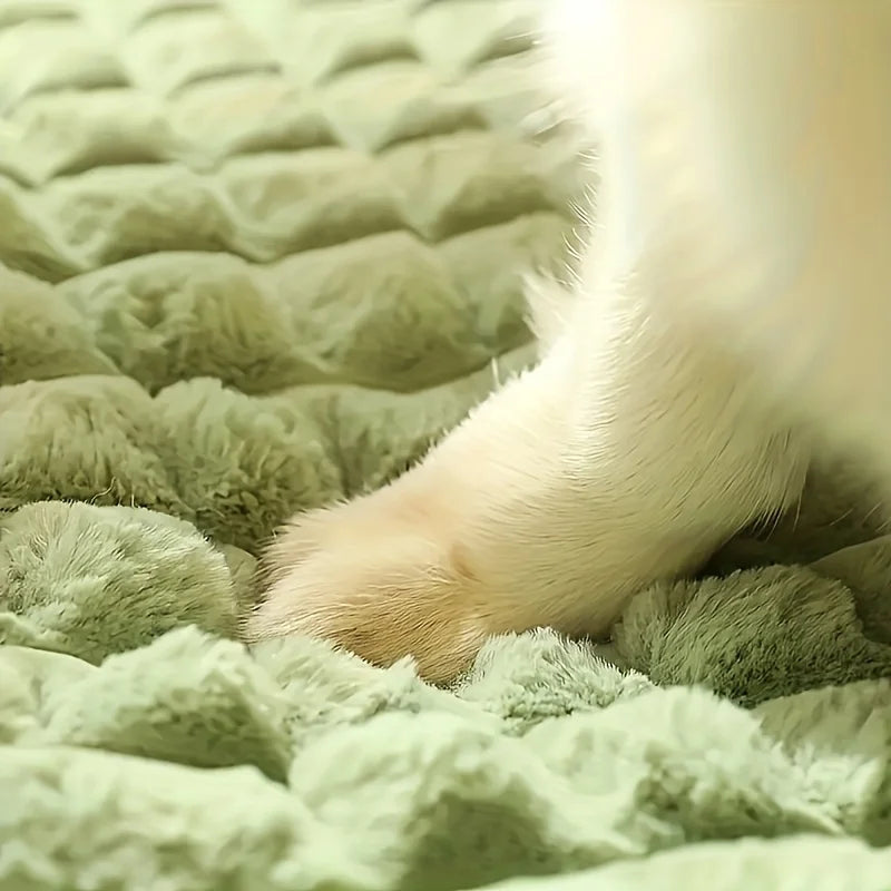 Luxury Modern & Fashionable XL Cat Bed Winter Memory Foam Pet Mat Detachable & Washable for Cats and Large Dogs