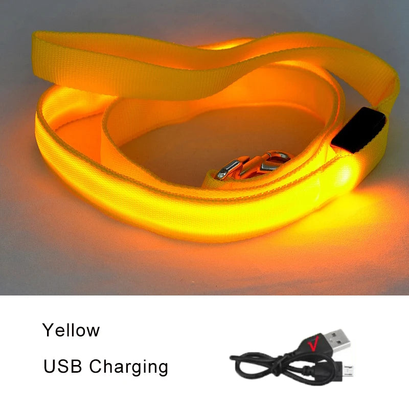 LED Dog Leash Light up Dog Leash USB Rechargeable Solid Nylon Webbing Glow Safety Standard Pet Leash for Dog Products