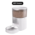 2026 OEM 4L Automatic Pet Feeder with Camera Smart Pet Feeder Mult-Cats AI Identification Generate Comics Dog Dry Food Dispenser