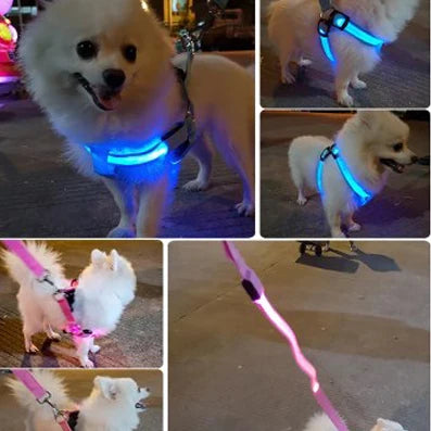 Adjustable LED Dog Harness No Pull Small Medium Glowing Nylon Breast Band Night Safety Pets Dog Accessories