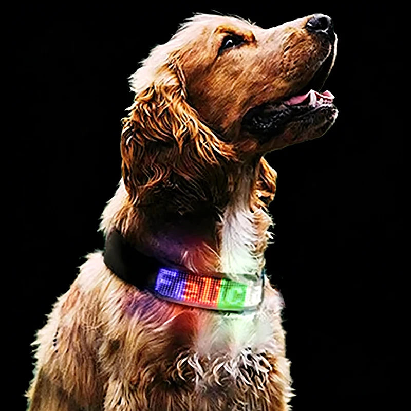Customizable LED Display Dog Collar Designer Striped Rechargeable Night Luminous Adjustable Anti-Lost Safety Collar Made Nylon