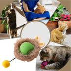 New Pet Cat Dog Balls Juguetes Para Mascotas Gatos Interactive Cat Toy Ball Katzenspielzeug Pet Cat Interactive Ball Toy