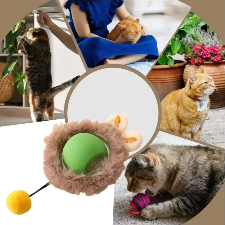 New Pet Cat Dog Balls Juguetes Para Mascotas Gatos Interactive Cat Toy Ball Katzenspielzeug Pet Cat Interactive Ball Toy