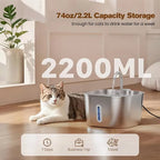 OEM Stainless Steel 2.2L Automatic Pet Water Dispenser Cat Water Fountain with Water Level Window New Cat Products ODM Custom