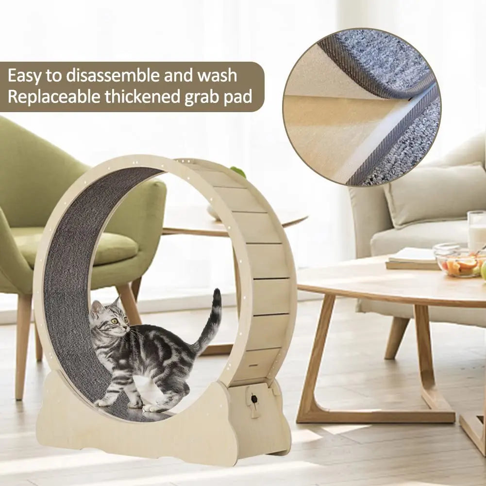 Cat Exercise Wheel Indoor Toy Cat Interactive Toys Large Cat Running Wheel with Carpeted Runway Pet Supplies
