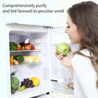 O3 Ozone Generator Air Purifier Refrigerator Deodorizer Food Shelf Life Extender Pet Toilet Smell Odors Remover Pet Manufacturer