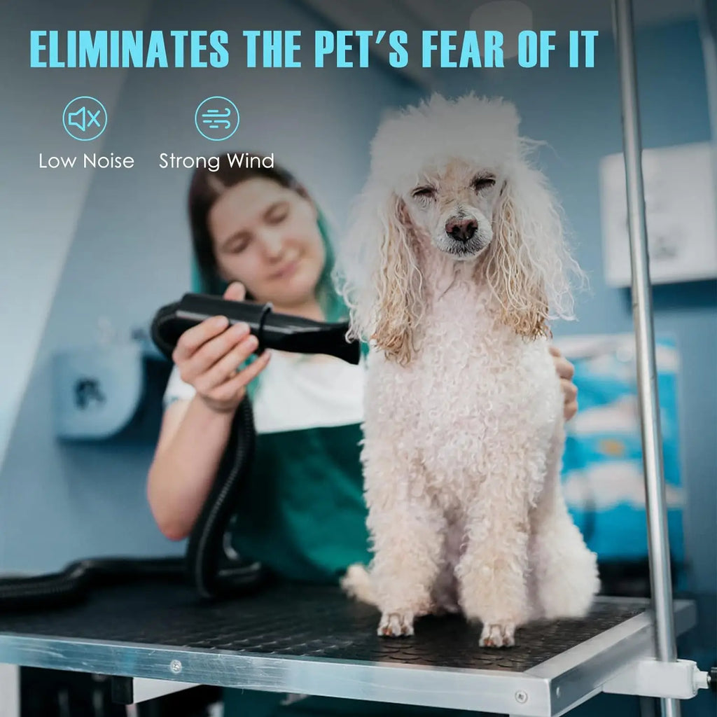 Dog Hair Dryer 3.2HP Stepless Adjustable Speed Pet Grooming Dryer High Velocity Pet Hair Dryer for Dogs with 4 Different Nozzles