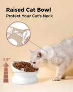 Elevated Cat Food Bowl 5 Oz Ceramic Raised and Tilted Water Bowl Anti Vomiting and Protect Pets' Spines Dishes for Small Dog Cat