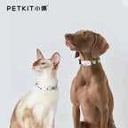 Smart Pet Tracker PETKIT Bluetooths Collar Pet Dog Collar Cat Tracker Adjustable Control Sports Activity Sleep Waterproof Collar