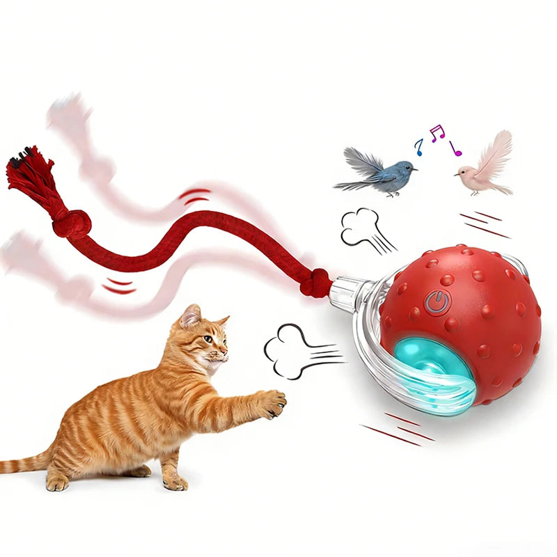 Interactive Cat Toys Ball for Indoor Cats Fast Rolling with Bird Carpet Chirping & Exercise Rechargeable Smart Cat Ball Toys