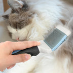 Double Sides Self Cleaning Dog Brush for Shedding Pet Grooming Comb Cat Brush Removes Loose Under Layers Knead Tangled Hair