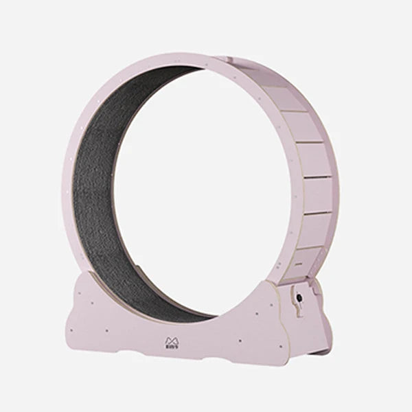 Cat Exercise Wheel Indoor Toy Cat Interactive Toys Large Cat Running Wheel with Carpeted Runway Pet Supplies