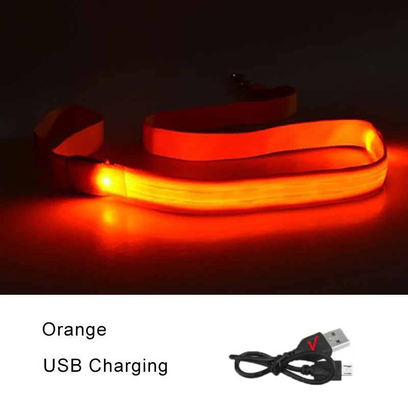 LED Dog Leash Light up Dog Leash USB Rechargeable Solid Nylon Webbing Glow Safety Standard Pet Leash for Dog Products
